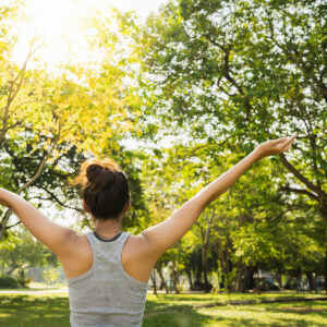 Immunklassiker Ginseng